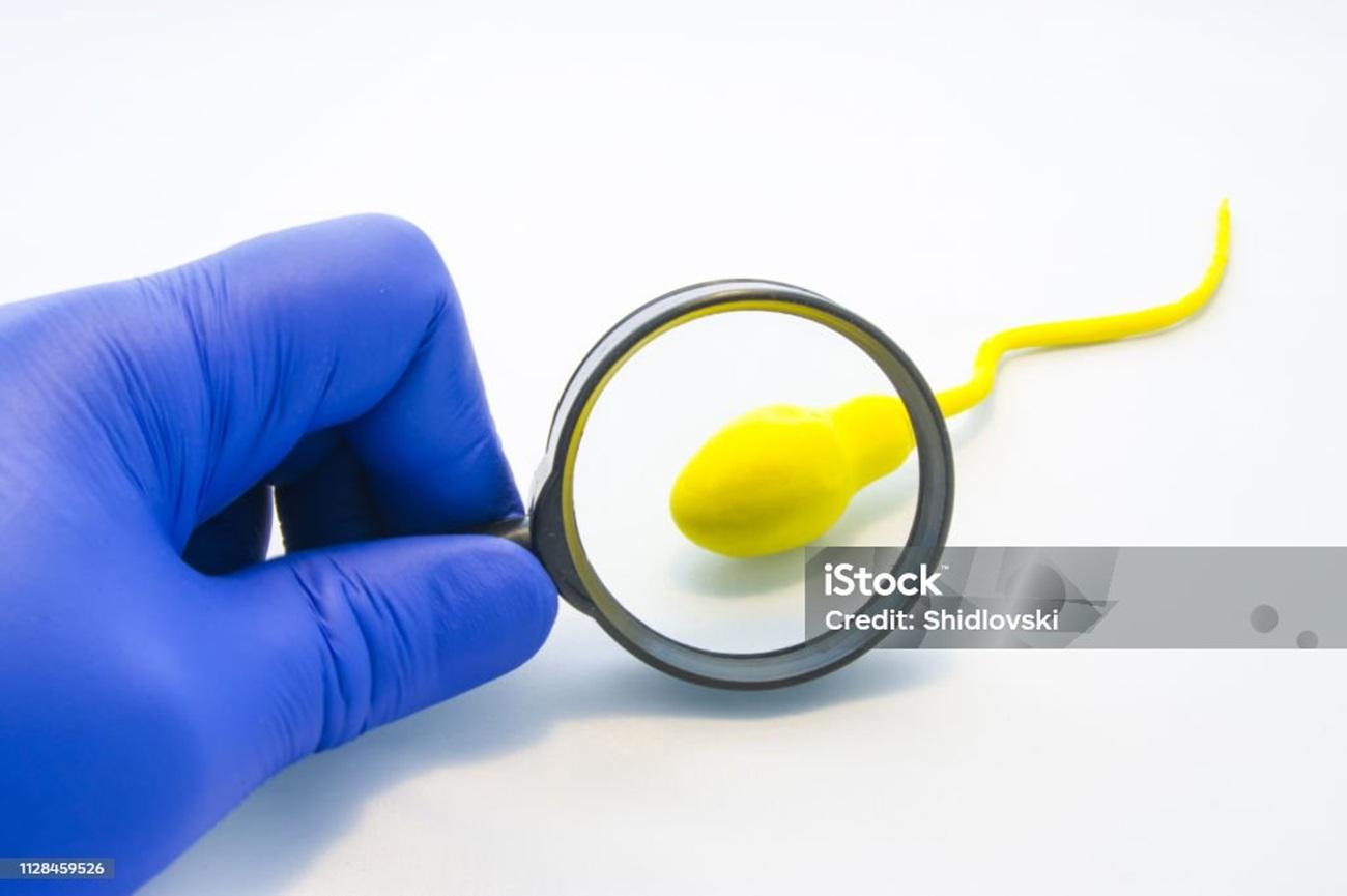 Gaduh Vasektomi: Kemendukbangga/BKKBN Ikuti Fatwa MUI